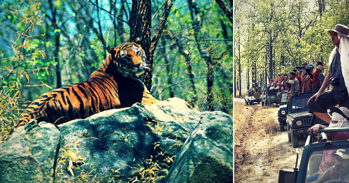 Wildlife sanctuaries draw scores of people hoping to catch a glimpse of rare animals. Representative image only.