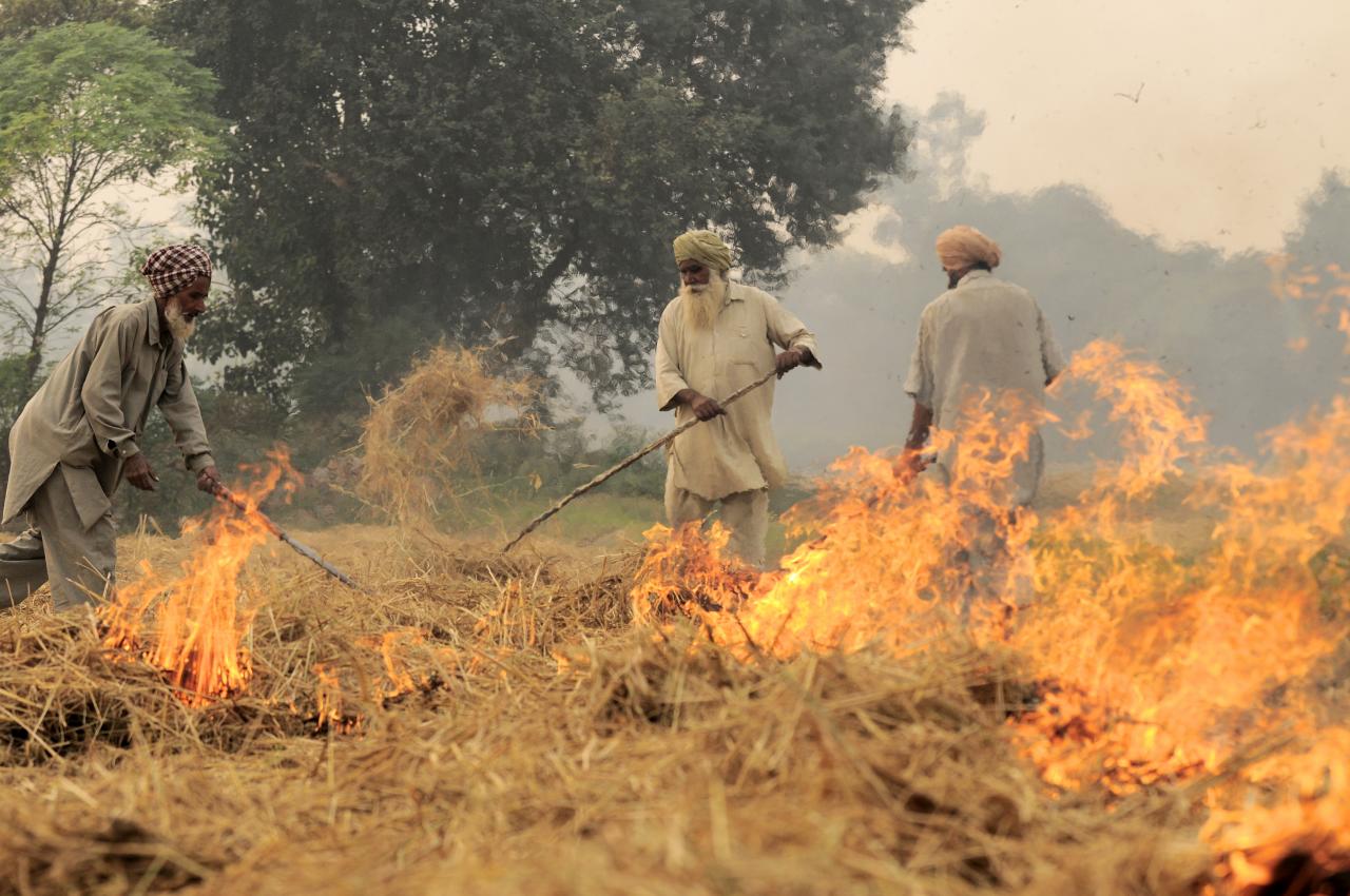 Crop burning. For representational purposes only. (Source: Wikimedia Commons)