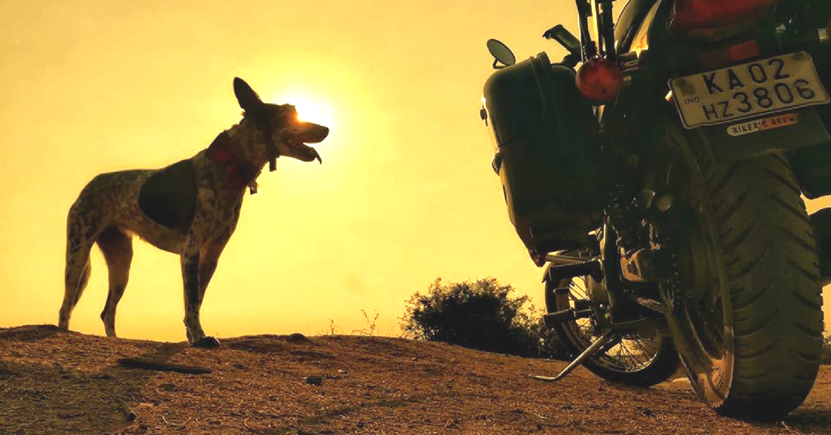 Gowtham took Chandramouli, his beloved pet, on a road trip through Karnataka. Image Courtesy: Gowtham.
