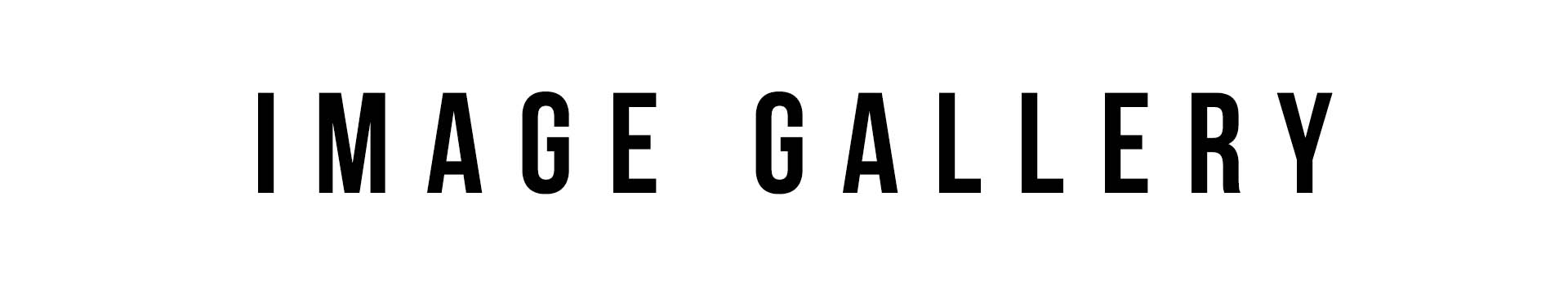 04 image gallery