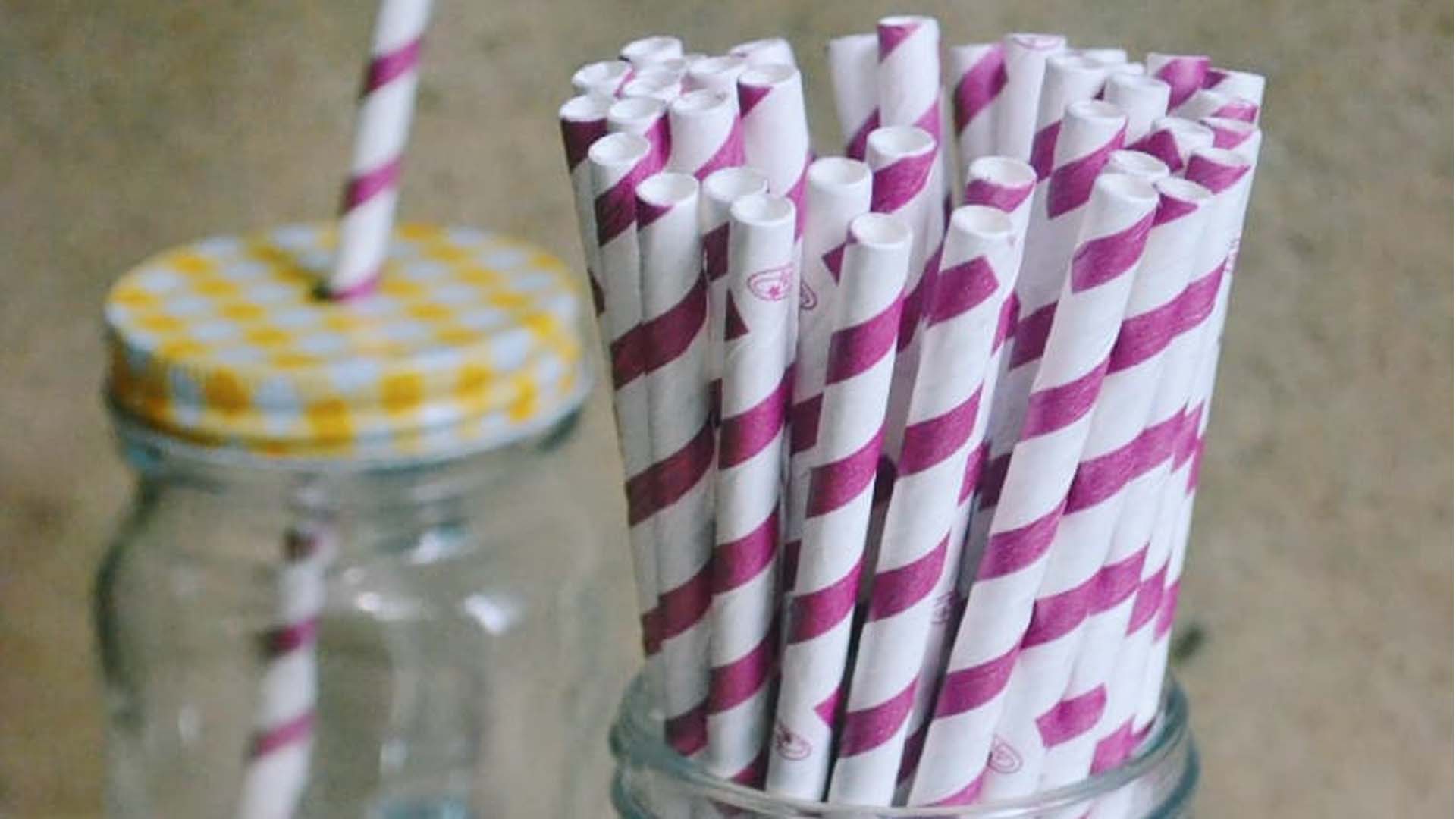Shop Paper Straws The Better India