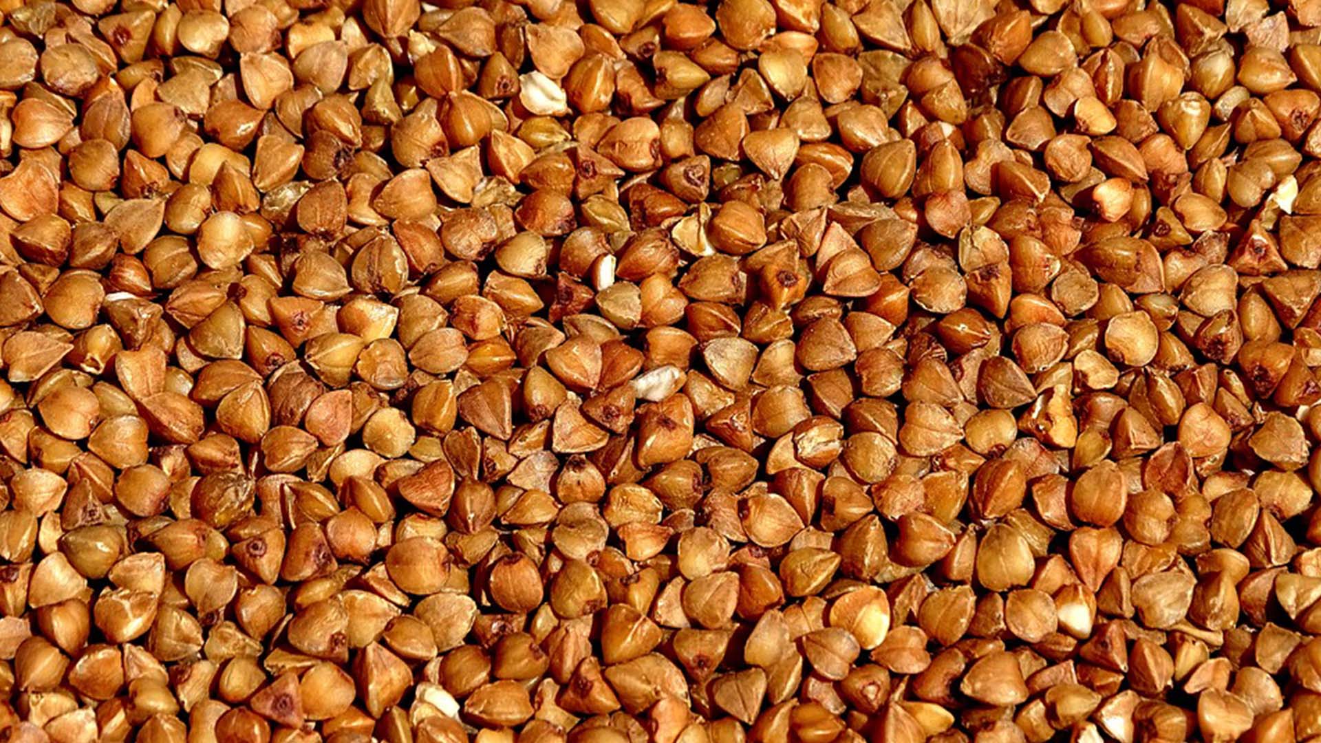 y buckwheat 3