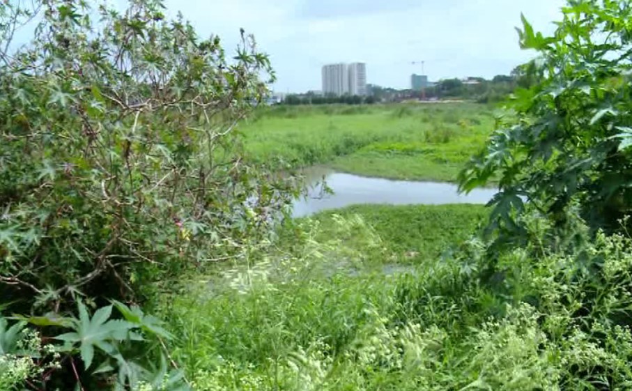 Before the intervention, when the lake and the surrounding area were riddled with weeds.