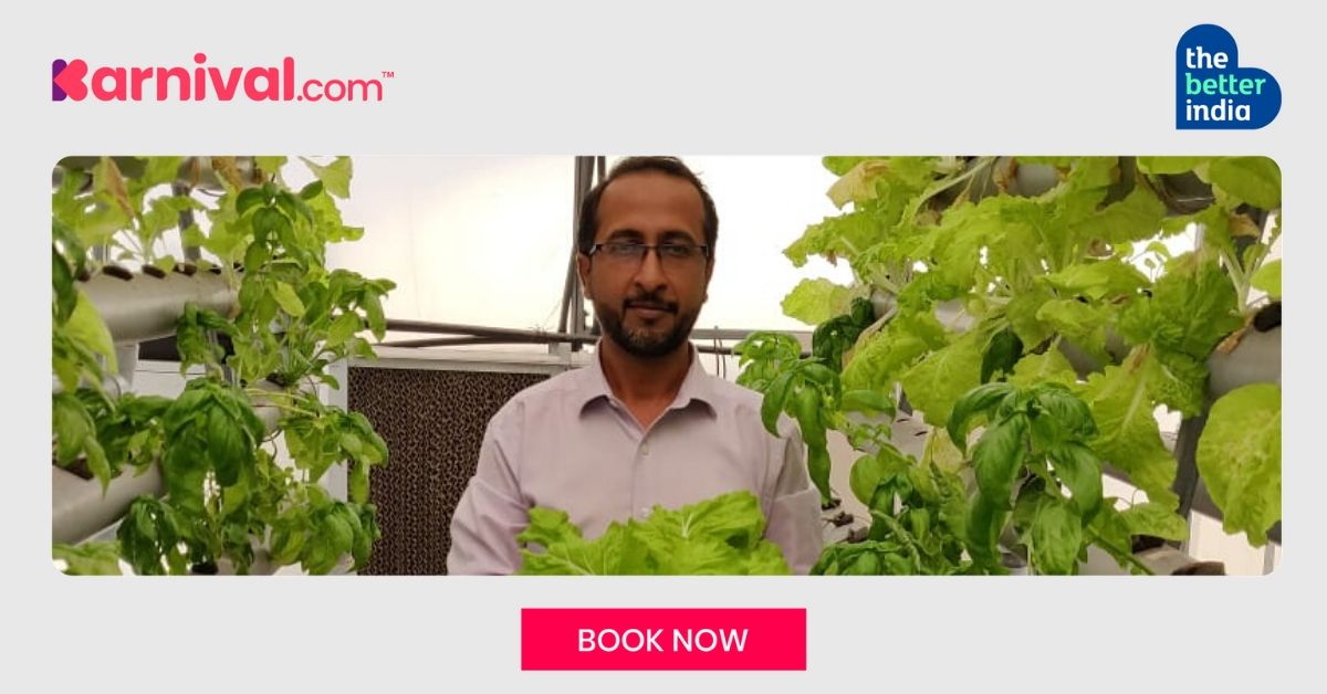 hydroponic fodder system for goats goat farming