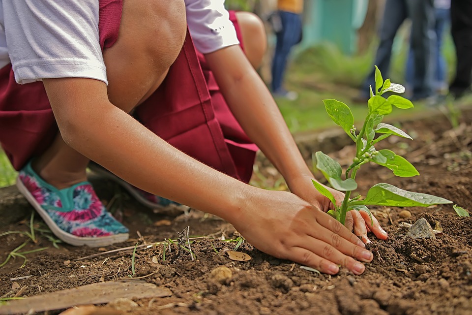 Rajasthan Makes Planting Trees, Digging Ponds Compulsory For Engineering Students!