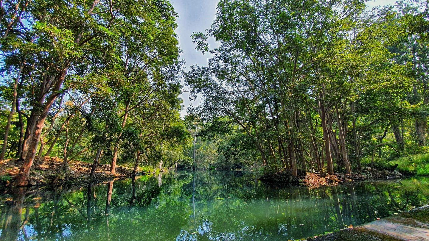 Panna tiger reserve