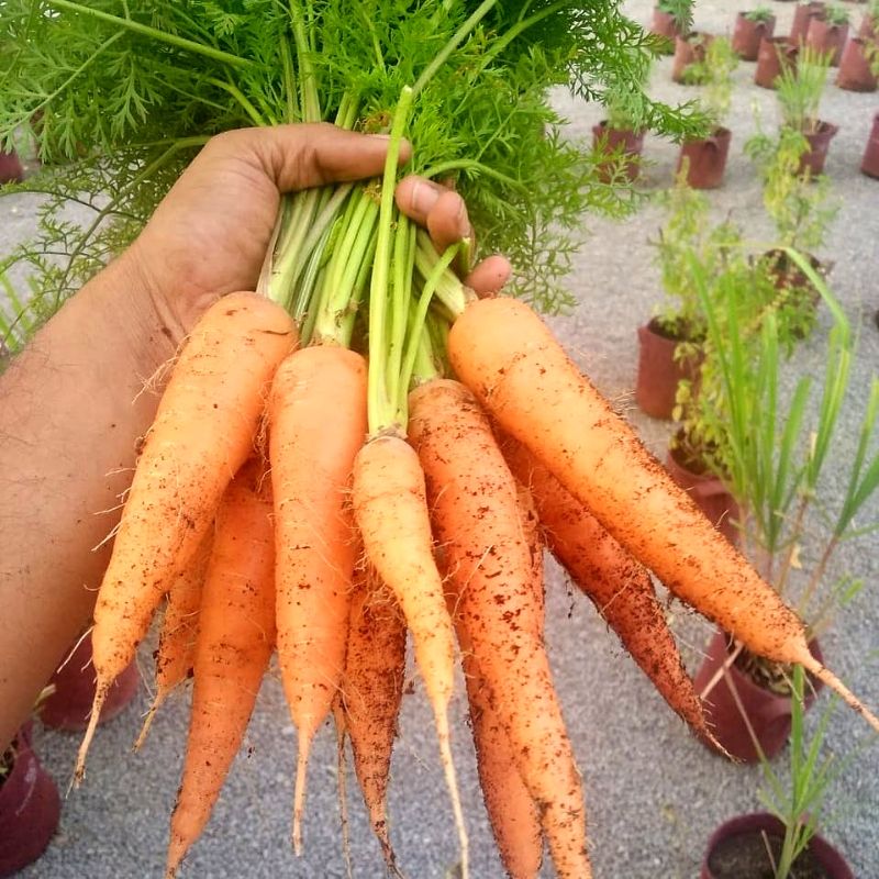 Grow kits landing page Grow kits landing page
