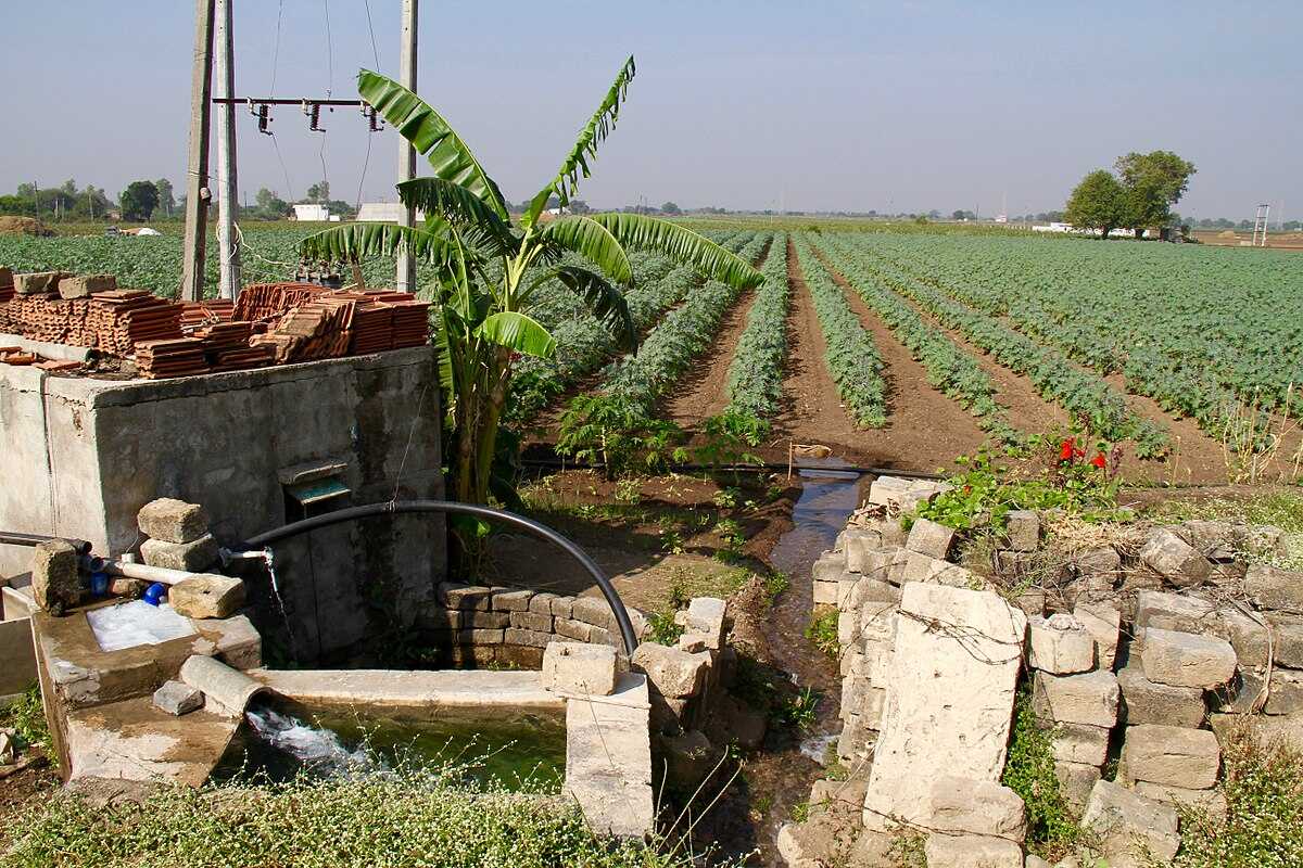 Farmers