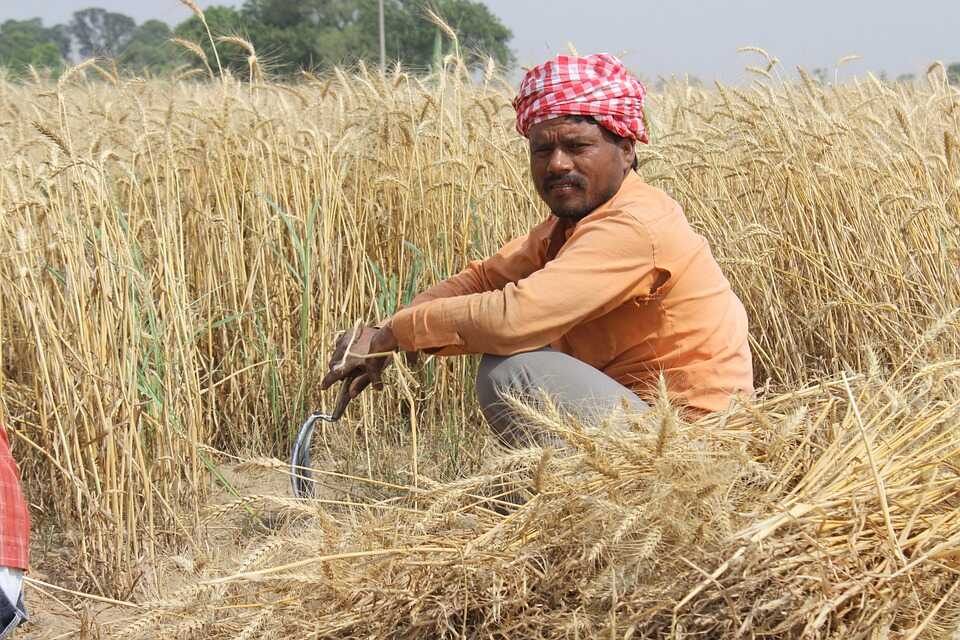 Farmers