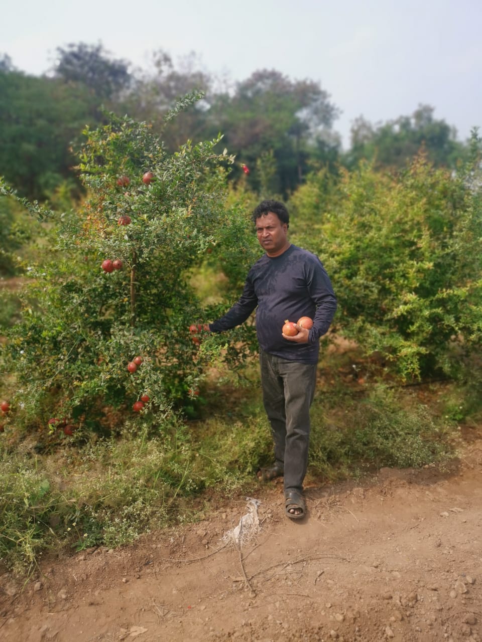 Farming