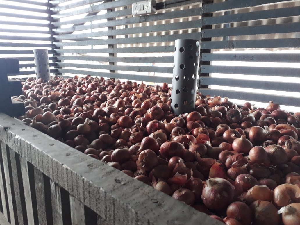 reducing onion wastage