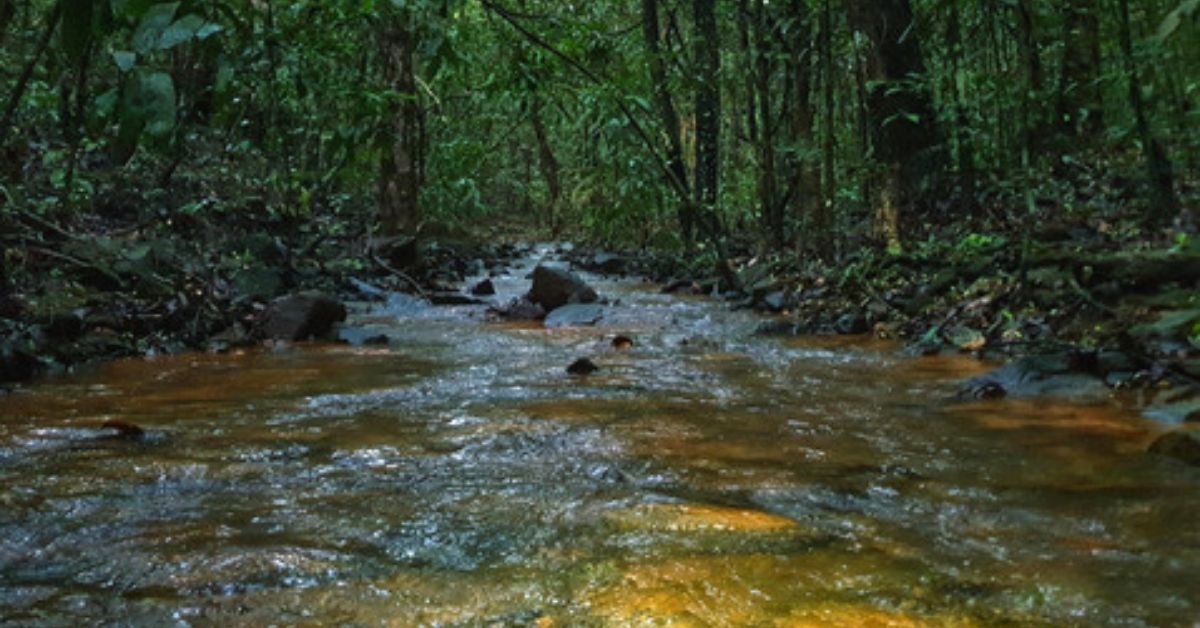 This Decision Can Threaten Goa's Water Security